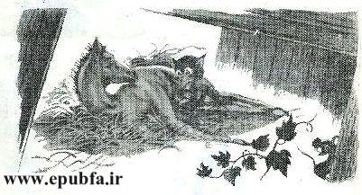 قصه کودکانه کرهاسب کوچولوی بامزه - محصول ایپابفا - ارشیو قصه و داستان کودکانه